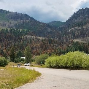 Meet your Posher, Lynette